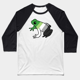 Pixel Aromantic Frog Baseball T-Shirt